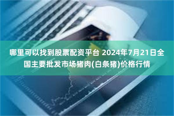 哪里可以找到股票配资平台 2024年7月21日全国主要批发市场猪肉(白条猪)价格行情