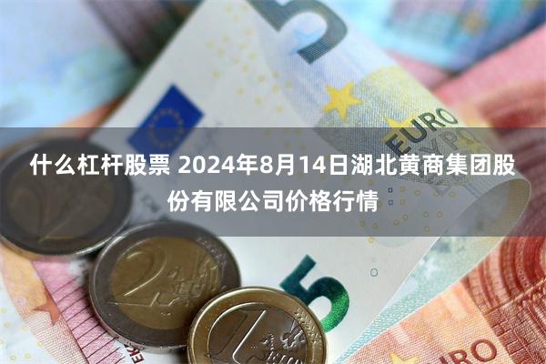 什么杠杆股票 2024年8月14日湖北黄商集团股份有限公司价格行情