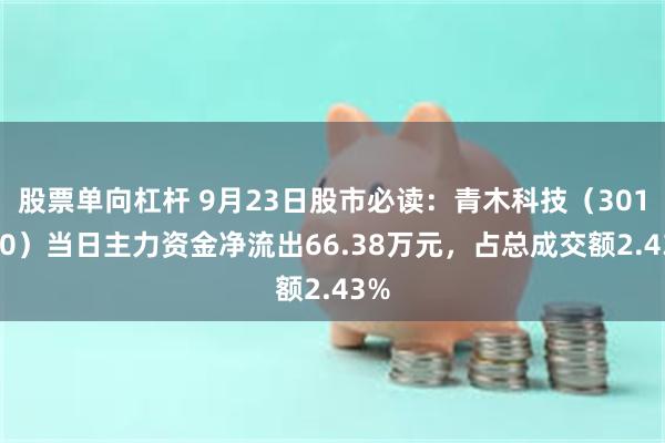 股票单向杠杆 9月23日股市必读：青木科技（301110）当日主力资金净流出66.38万元，占总成交额2.43%