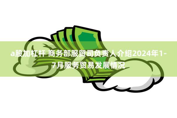 a股加杠杆 商务部服贸司负责人介绍2024年1-7月服务贸易发展情况