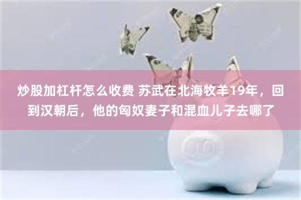 炒股加杠杆怎么收费 苏武在北海牧羊19年，回到汉朝后，他的匈奴妻子和混血儿子去哪了