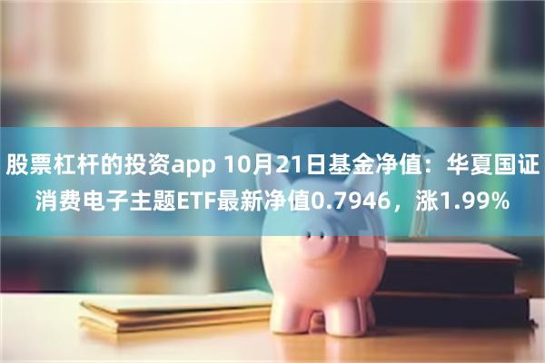 股票杠杆的投资app 10月21日基金净值：华夏国证消费电子主题ETF最新净值0.7946，涨1.99%