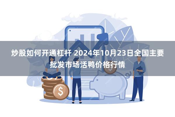 炒股如何开通杠杆 2024年10月23日全国主要批发市场活鸭价格行情