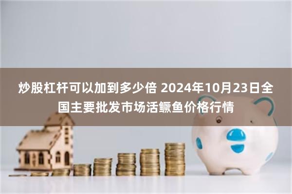 炒股杠杆可以加到多少倍 2024年10月23日全国主要批发市场活鳜鱼价格行情