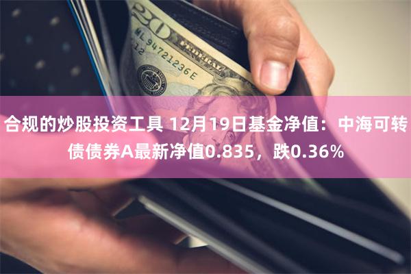 合规的炒股投资工具 12月19日基金净值：中海可转债债券A最新净值0.835，跌0.36%