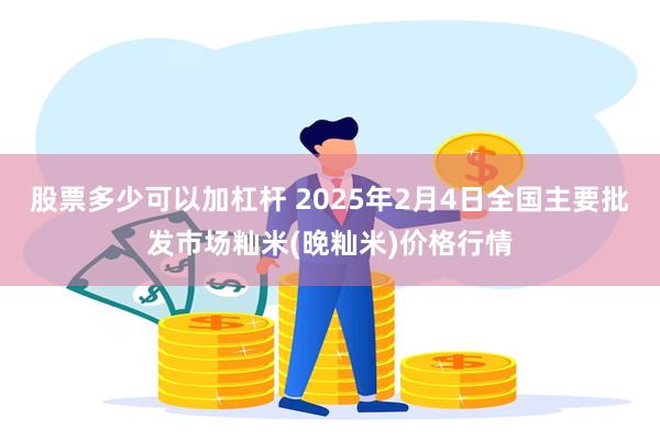 股票多少可以加杠杆 2025年2月4日全国主要批发市场籼米(晚籼米)价格行情