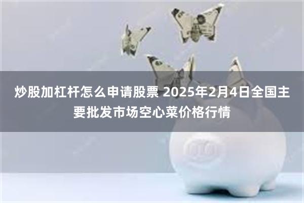 炒股加杠杆怎么申请股票 2025年2月4日全国主要批发市场空心菜价格行情