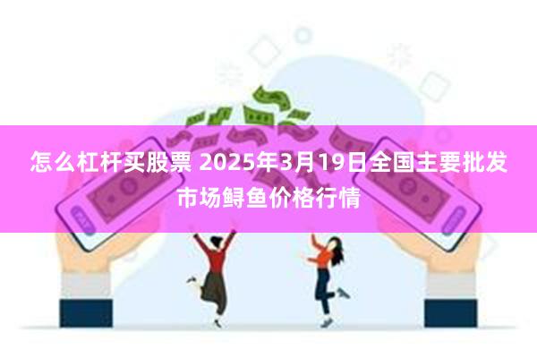 怎么杠杆买股票 2025年3月19日全国主要批发市场鲟鱼价格行情